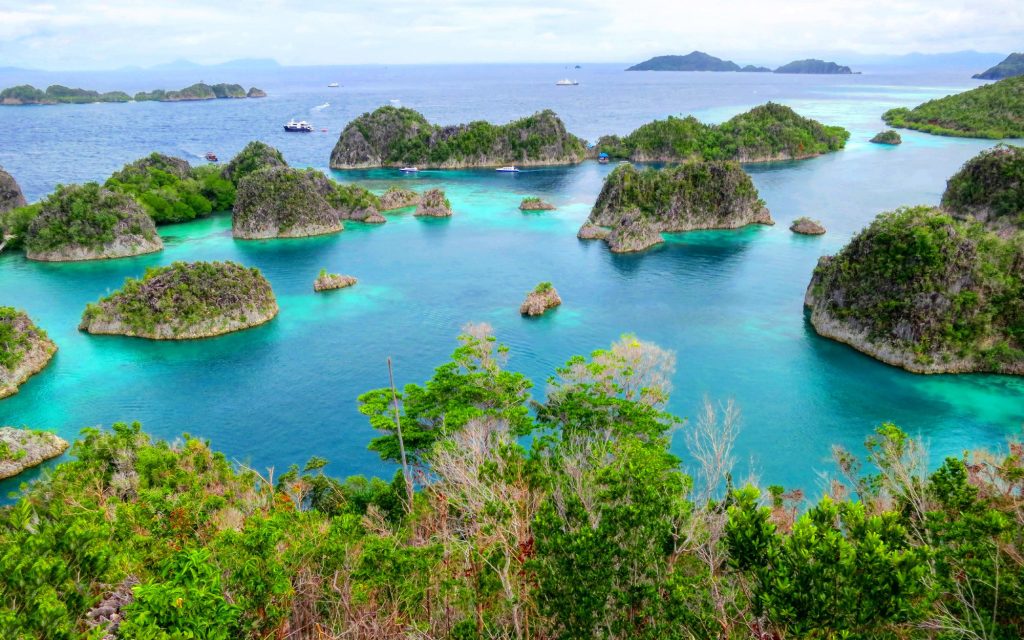 Piaynemo Packages – Raja Ampat Nirwana